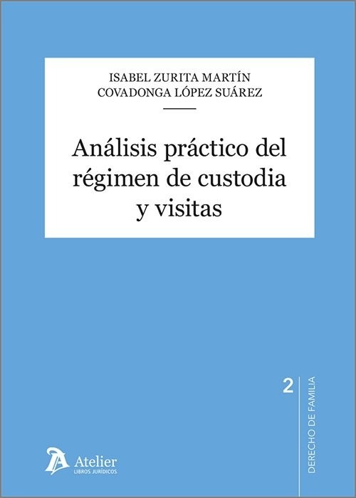 Análisis práctico del régimen de custodia y visitas